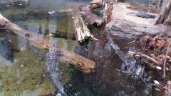 171_20151230225546-99226b80_5312x2988