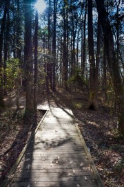 Lake Benson Park