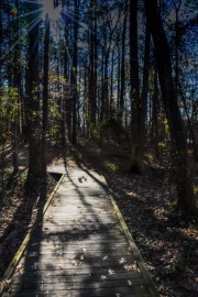 Lake Benson Park