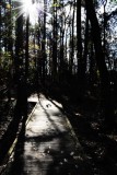 Lake Benson Park