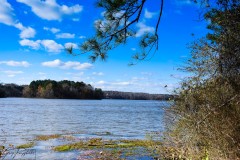 Lake Benson Park