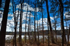 Lake Benson Park