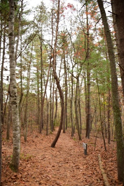 Blue Ridge Parkway, Asheville, NC