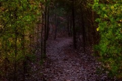 Blue Ridge Parkway, Asheville, NC