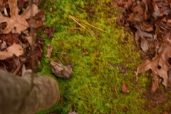 Blue Ridge Parkway, Asheville, NC