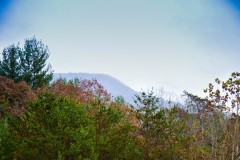 Blue Ridge Parkway, Asheville, NC