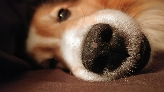 Chillin with Squirt!