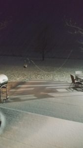 It's Snowing!!  January 17th, 6pm.