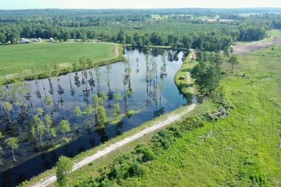 dji_0209 (large)4256479531808266116..jpg