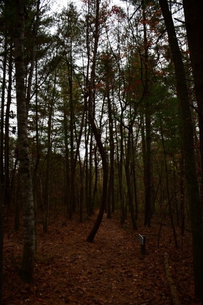 Blue Ridge Parkway, Asheville, NC