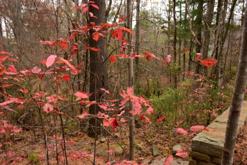 Blue Ridge Parkway, Asheville, NC