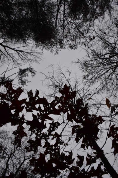 Blue Ridge Parkway, Asheville, NC