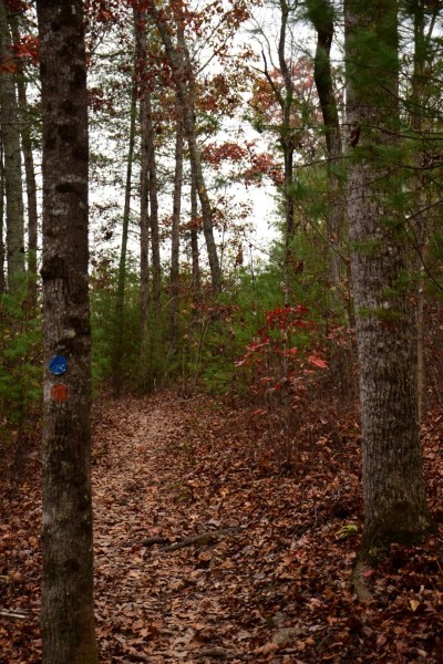 Blue Ridge Parkway, Asheville, NC