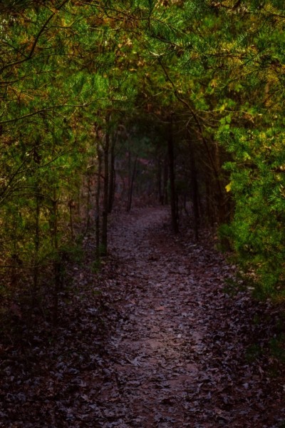 Blue Ridge Parkway, Asheville, NC