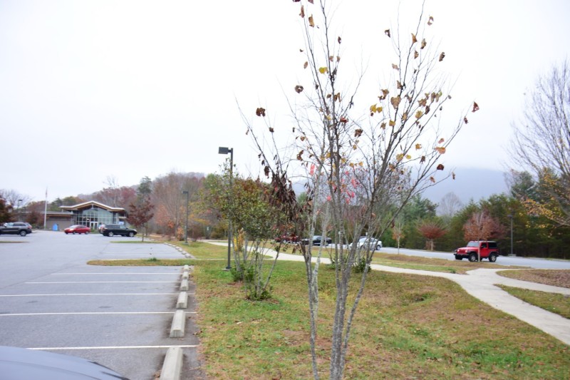 Blue Ridge Parkway, Asheville, NC