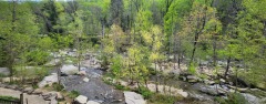 Broad River,  Lake Lure NC