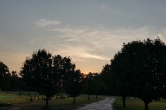 1354_20150805060754-46c37f53_5312x2988