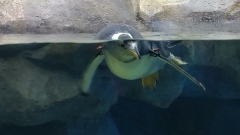 125_20151230232709-ce3df4f2_5312x2988