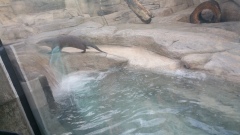 153_20151230223852-eccaebde_5312x2988