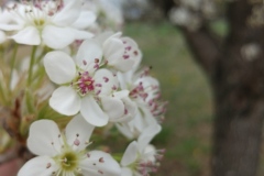 1584_0222181148_4640x2610