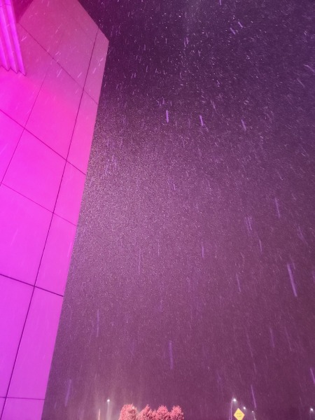 20250202_202818