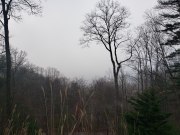 1957_20190116_083018_4032x3024