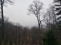 1957_20190116_083018_4032x3024