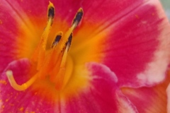 1845_PiwigoClient_Upload_-2351898278164798207_4640x2610