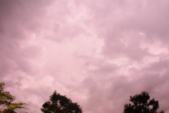 1856_DSC_6386_1620x1080