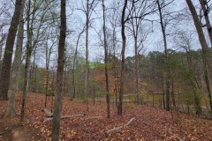 Lake Crabtree County Park