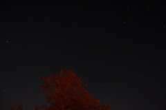 DSC_9540