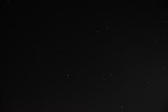 DSC_9553