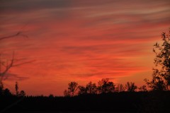 443_20150404141701-c3f81654_1156x768