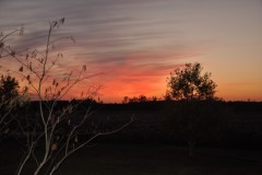 449_20150404141714-26e7edfe_1156x768