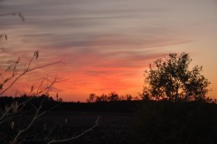 450_20150404141717-f667f893_1156x768