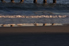 DSC_0058