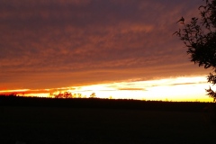 1474_1123171725_4640x2610