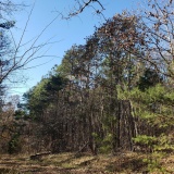 Uwharrie Hunting Trip (16-21 Nov 20)