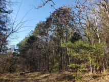 Uwharrie Hunting Trip (16-21 Nov 20)