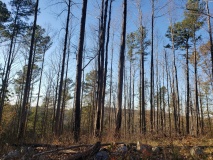 Uwharrie Hunting Trip (16-21 Nov 20)