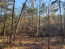 Uwharrie Hunting Trip (16-21 Nov 20)