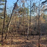 Uwharrie Hunting Trip (16-21 Nov 20)
