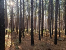Uwharrie Hunting Trip (16-21 Nov 20)