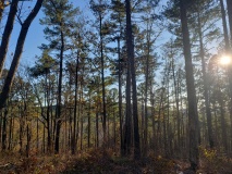 Uwharrie Hunting Trip (16-21 Nov 20)
