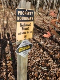 Uwharrie Hunting Trip (16-21 Nov 20)