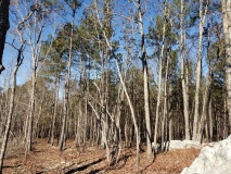 Uwharrie Hunting Trip (16-21 Nov 20)