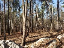 Uwharrie Hunting Trip (16-21 Nov 20)
