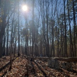 Uwharrie Hunting Trip (16-21 Nov 20)