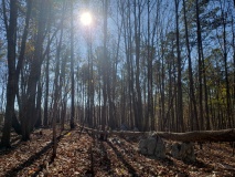 Uwharrie Hunting Trip (16-21 Nov 20)