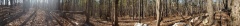 Uwharrie Hunting Trip (16-21 Nov 20)